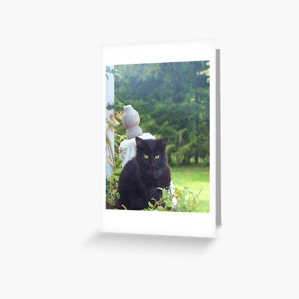Priss Greeting Card
