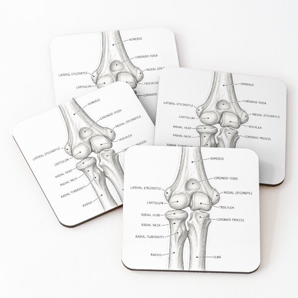 Item preview, Anatomy Elbow Forearm Physical Therapy Sticker designed and sold by isokinetic.