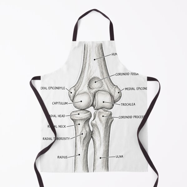 Item preview, Anatomy Elbow Forearm Physical Therapy Sticker designed and sold by isokinetic.