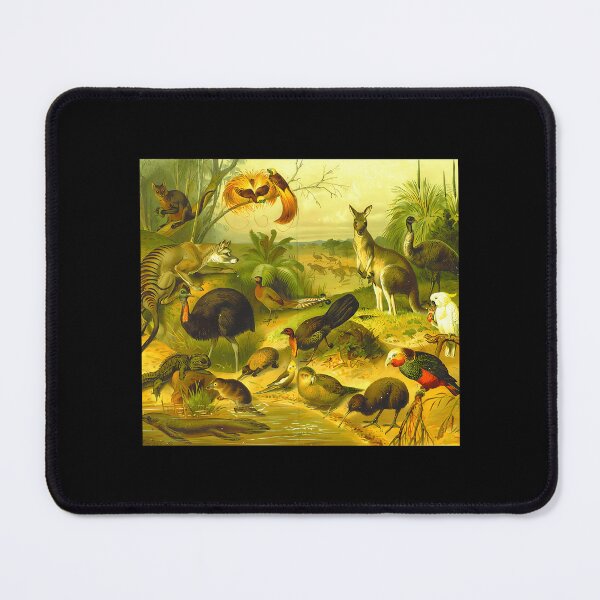 Item preview, Australian Fauna designed and sold by BlancoTompkins.