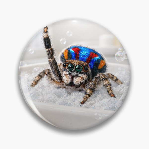 Item preview, Peacock Spider Bathtub designed and sold by Sillytoe.
