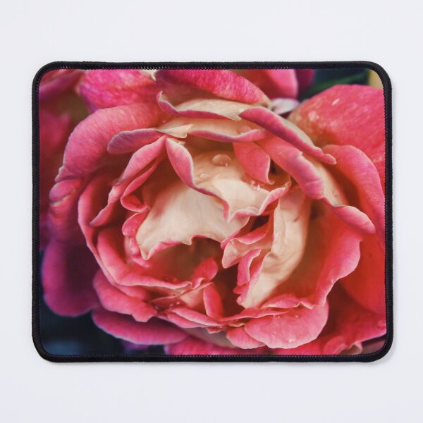 Item preview, A Rose by Any Other Name designed and sold by Rachel J Bowler.