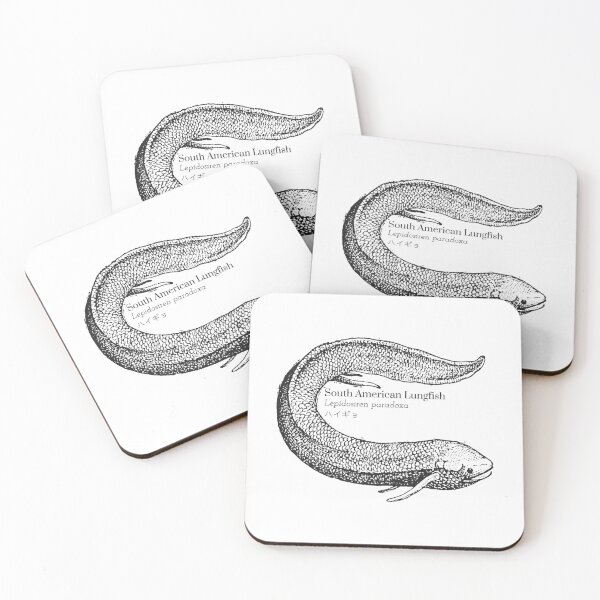 Item preview, South American Lungfish Lepidosiren Paradoxa  Scientific Wildlife Japanese Kanji designed and sold by BlancoTompkins.