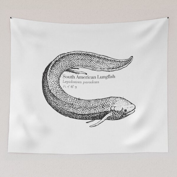Item preview, South American Lungfish Lepidosiren Paradoxa  Scientific Wildlife Japanese Kanji designed and sold by BlancoTompkins.