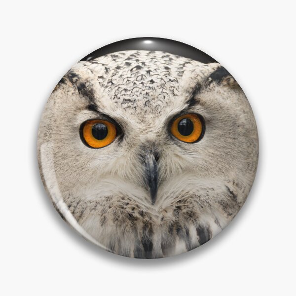Item preview, Owl (Bubo bubo) close-up, bird of prey designed and sold by Rekeech.