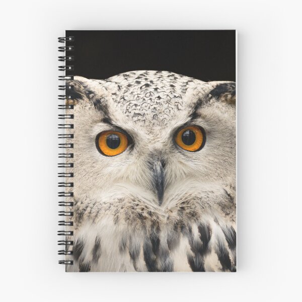 Item preview, Owl (Bubo bubo) close-up, bird of prey designed and sold by Rekeech.