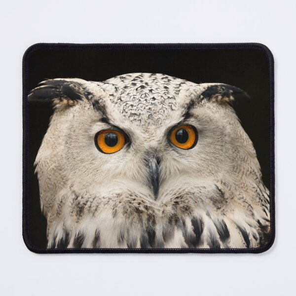 Item preview, Owl (Bubo bubo) close-up, bird of prey designed and sold by Rekeech.
