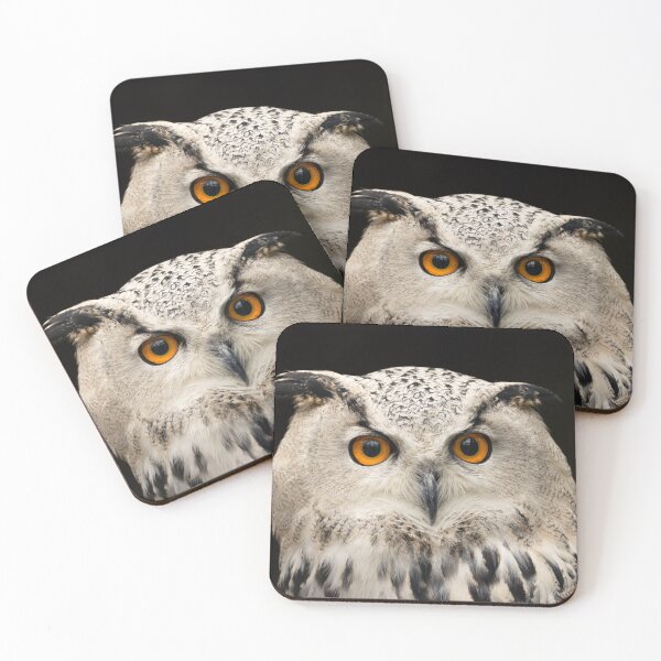 Item preview, Owl (Bubo bubo) close-up, bird of prey designed and sold by Rekeech.