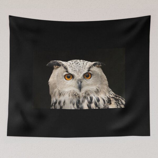 Item preview, Owl (Bubo bubo) close-up, bird of prey designed and sold by Rekeech.