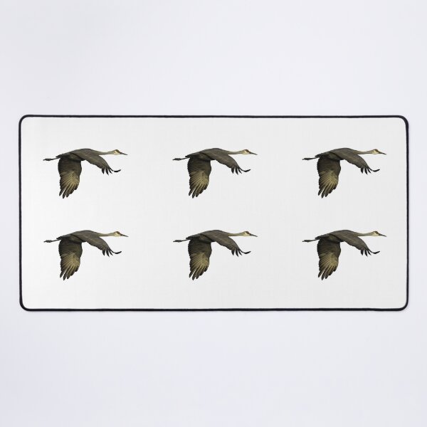 Item preview, Isolated Sandhill Crane 9-25-2026 designed and sold by Thomasyoung.