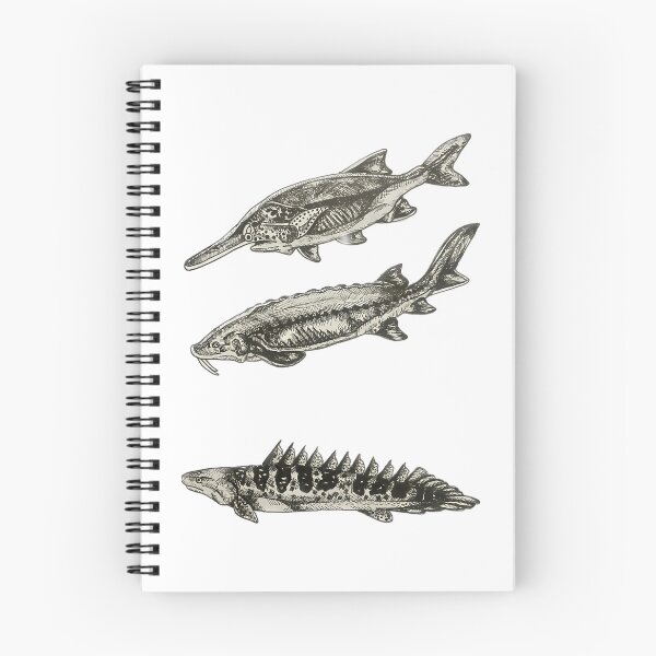 Item preview, River Fishes designed and sold by IstanbulEssence.