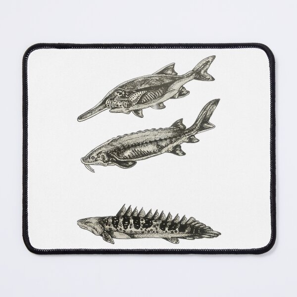 Item preview, River Fishes designed and sold by IstanbulEssence.