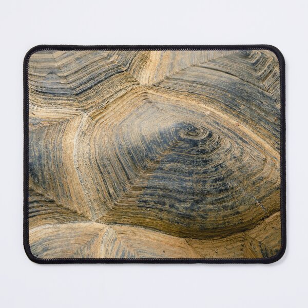 Item preview, Detailed texture and pattern of a turtle shell designed and sold by Rekeech.