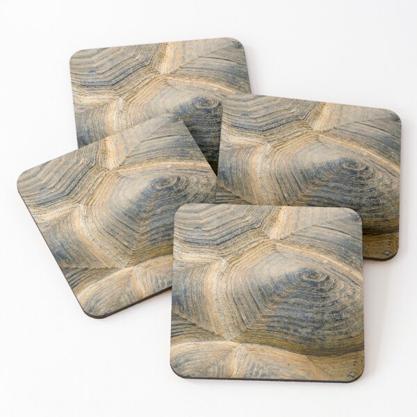 Item preview, Detailed texture and pattern of a turtle shell designed and sold by Rekeech.