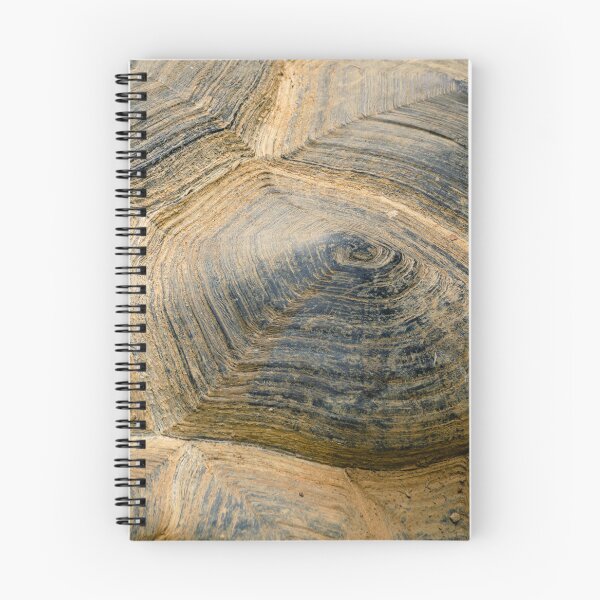 Item preview, Detailed texture and pattern of a turtle shell designed and sold by Rekeech.