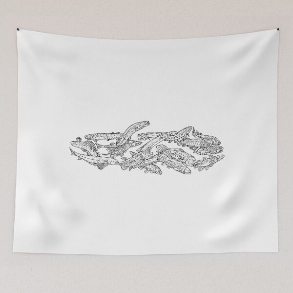 Item preview, Osteichthyes (Bonyfish) - Evolution designed and sold by IstanbulEssence.