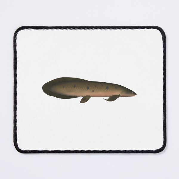 Item preview, Australian Lungfish designed and sold by IstanbulEssence.