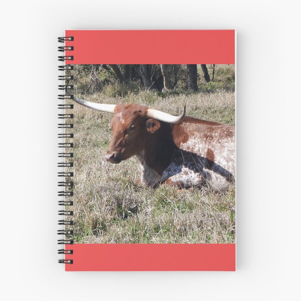 Item preview, A Texas Longhorn resting designed and sold by Lynette2025.