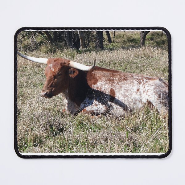 Item preview, A Texas Longhorn resting designed and sold by Lynette2025.