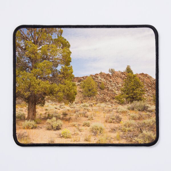 Item preview, Desert Landscape with Juniper Trees designed and sold by jklune.