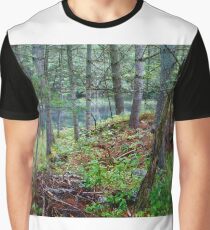 Hidden Lake Graphic T-Shirt