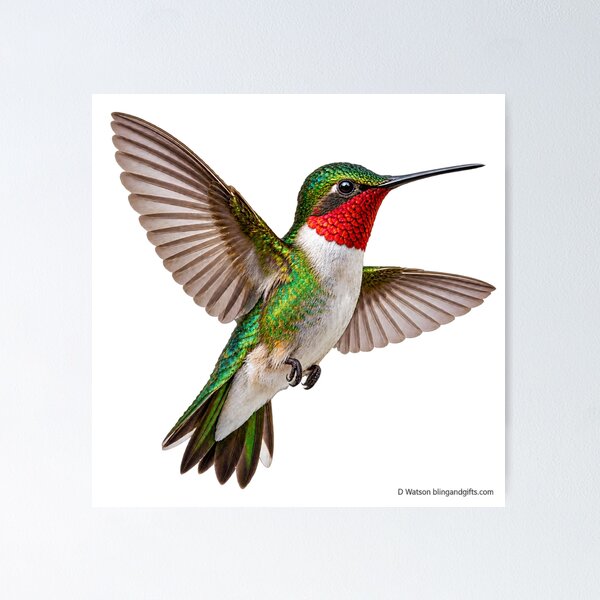 Item preview, Jewel of the Garden Hummingbird designed and sold by BlingandGifts.