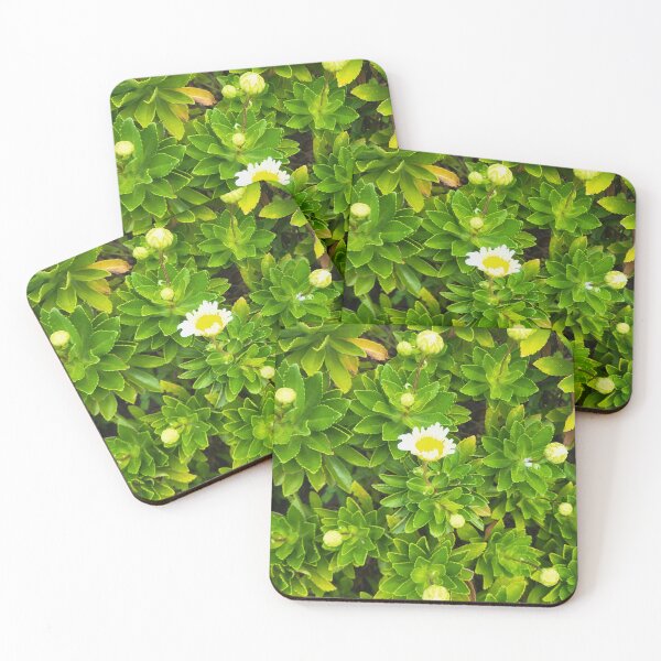 Item preview, Daisy? designed and sold by gratogratto.