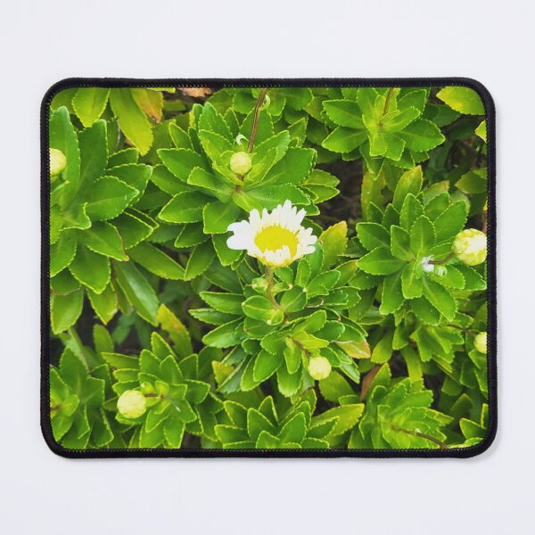Item preview, Daisy? designed and sold by gratogratto.
