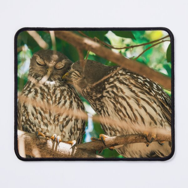 Item preview, Owl Buddy's designed and sold by Taran Skye Photography .