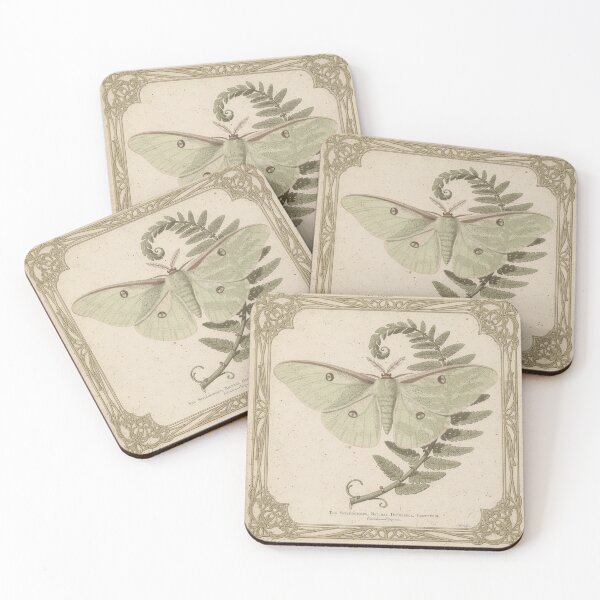 Item preview, Vintage Luna Moth and Fern Plate designed and sold by PictorialWhimsy.