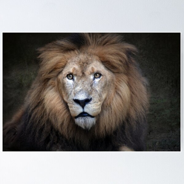 Item preview, Majestic Lion Portrait designed and sold by Savannah Gibbs.