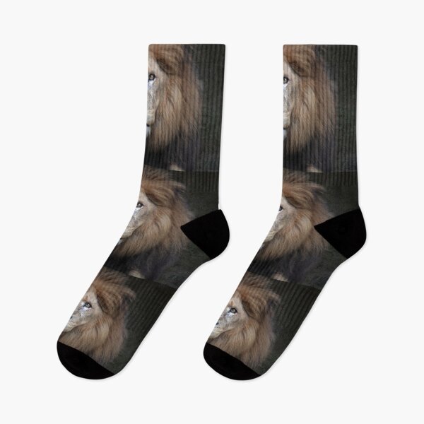 Item preview, Majestic Lion Portrait designed and sold by Savannah Gibbs.
