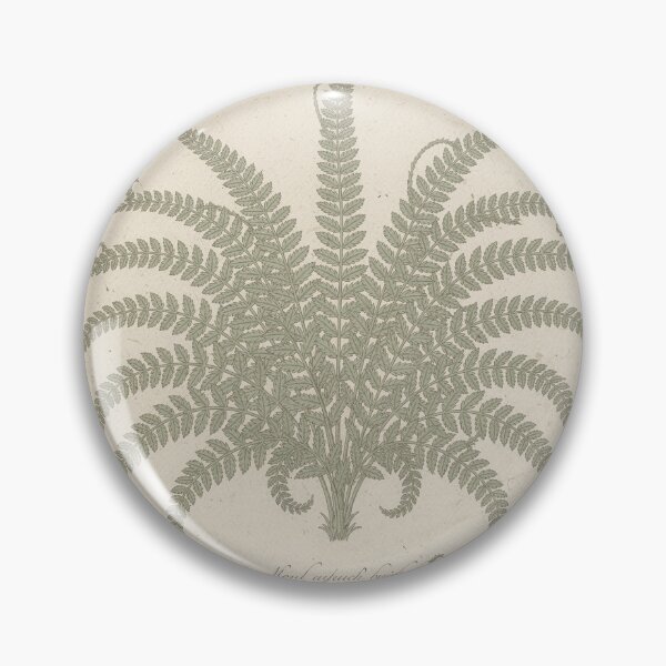 Item preview, Antique Fern and Frond Botanical Study designed and sold by PictorialWhimsy.