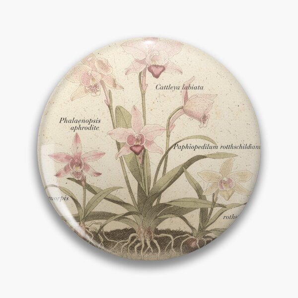 Item preview, Antique Orchid Botanical Study in Gilt designed and sold by PictorialWhimsy.