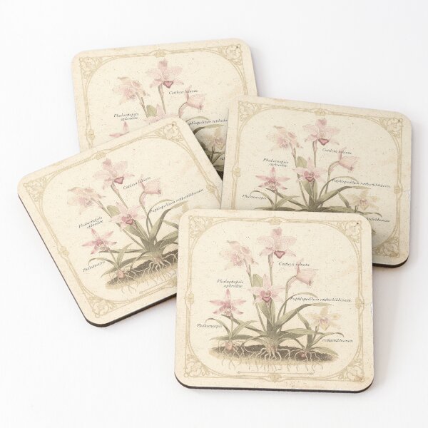 Item preview, Antique Orchid Botanical Study in Gilt designed and sold by PictorialWhimsy.