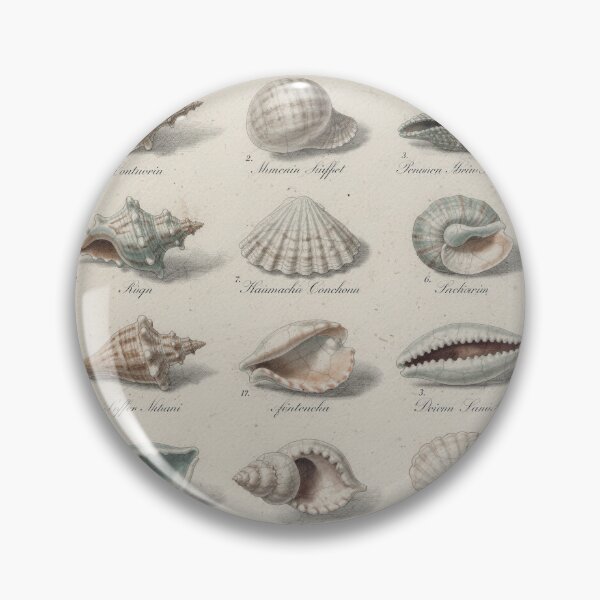 Item preview, Vintage Seashell Conchology Plate in Gilt designed and sold by PictorialWhimsy.