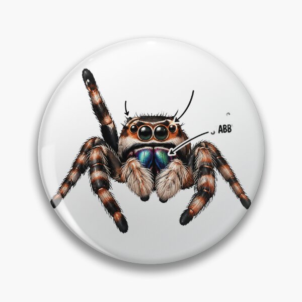 Item preview, Detailed Jumping Spider Anatomy Illustration with Labeled Body Parts designed and sold by sariballi132.