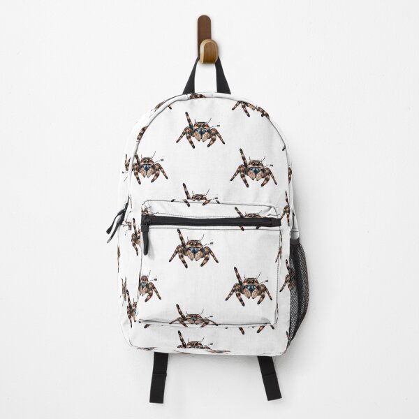Item preview, Detailed Jumping Spider Anatomy Illustration with Labeled Body Parts designed and sold by sariballi132.