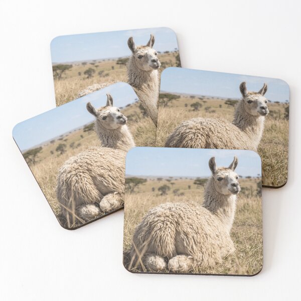 Item preview, Cute Fluffy Llama Resting In Golden Savannah Grassland designed and sold by phamlauren.