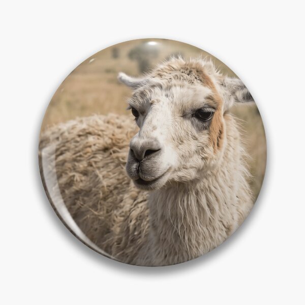 Item preview, Charming White Llama Portrait In Golden Grass designed and sold by phamlauren.