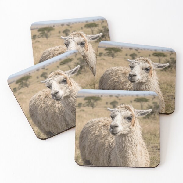Item preview, Charming White Llama Portrait In Golden Grass designed and sold by phamlauren.