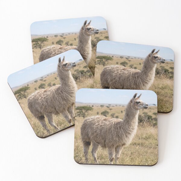 Item preview, Proud Fluffy Llama Standing In Wild Meadow designed and sold by phamlauren.