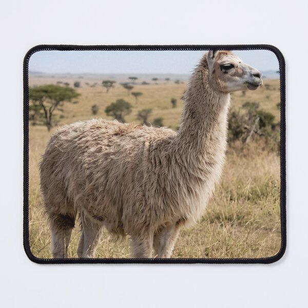Item preview, Proud Fluffy Llama Standing In Wild Meadow designed and sold by phamlauren.