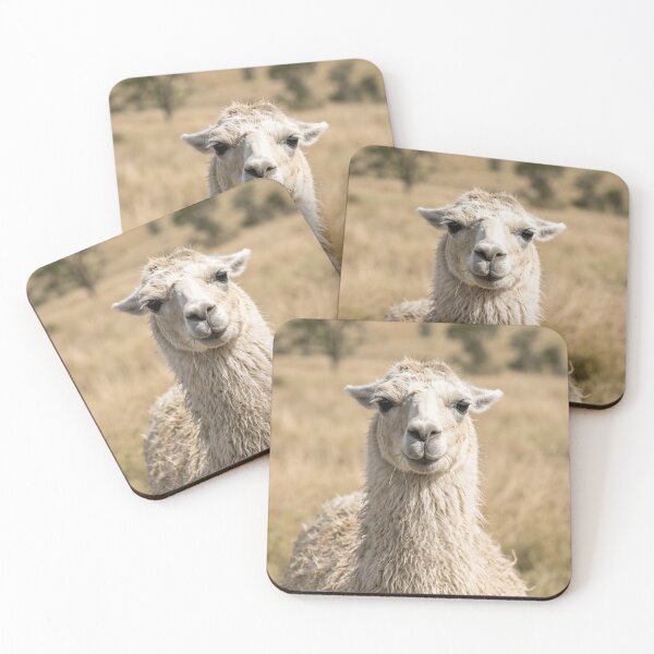 Item preview, Adorable Fluffy Llama Face Close Up designed and sold by phamlauren.
