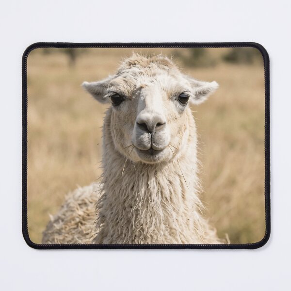 Item preview, Adorable Fluffy Llama Face Close Up designed and sold by phamlauren.
