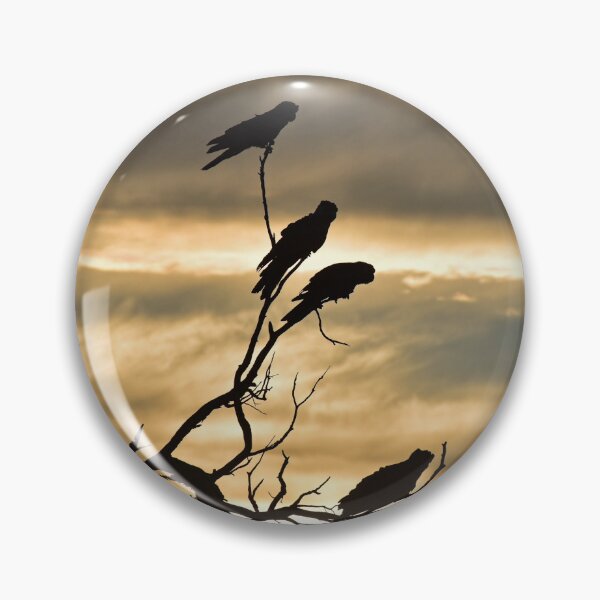 Item preview, Black Cockatoo Silhouette Sunrise designed and sold by Rainbow Farm Photography.