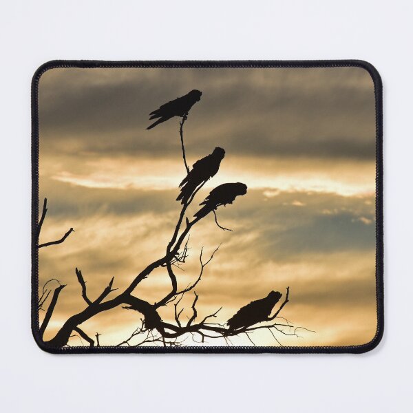 Item preview, Black Cockatoo Silhouette Sunrise designed and sold by Rainbow Farm Photography.