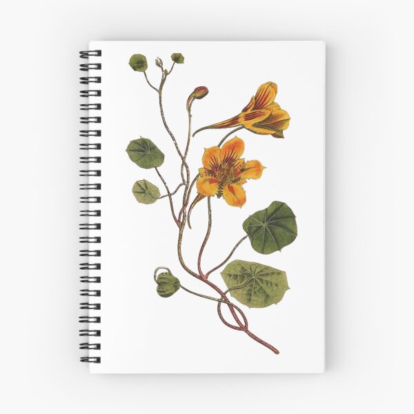 Item preview, Nasturtium designed and sold by @breadandbut.ter.