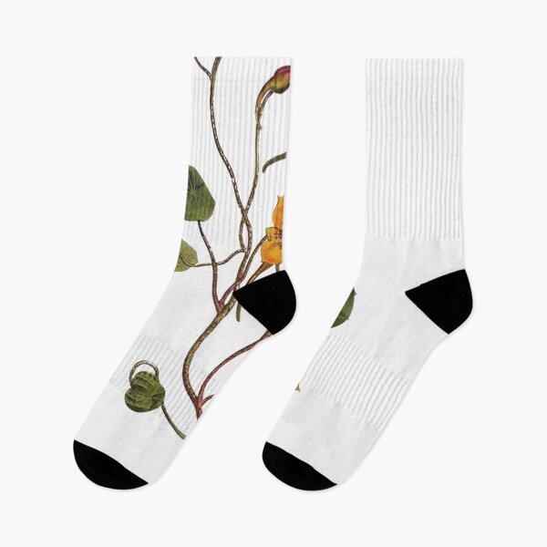 Item preview, Nasturtium designed and sold by @breadandbut.ter.