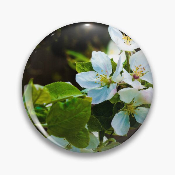 Item preview, Apple Blossoms on a Sunny Day designed and sold by jklune.